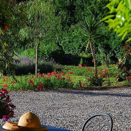 Agriturismo Coppi Rossi Torrazza  Eksteriør bilde