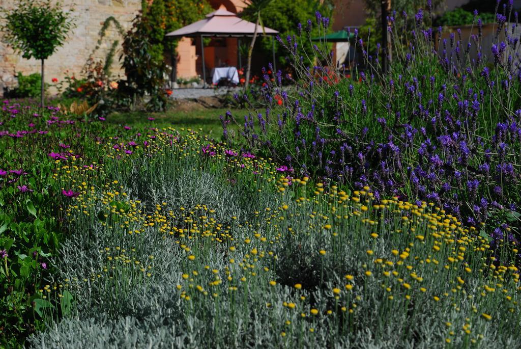 Agriturismo Coppi Rossi Torrazza  Eksteriør bilde