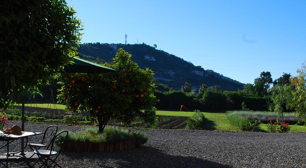 Agriturismo Coppi Rossi Torrazza  Eksteriør bilde